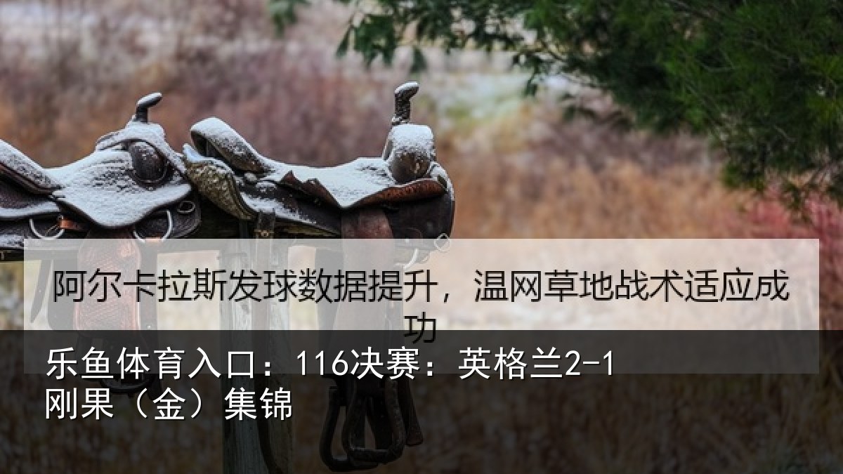 乐鱼体育入口：116决赛：英格兰2-1刚果（金）集锦